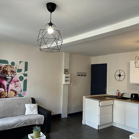 Spacieux, Climatise, Quartier Calme, Proche Chateau, Le Cocon De Joy Carcassonne Buitenkant foto